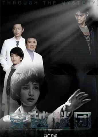 穿越谜团封面图