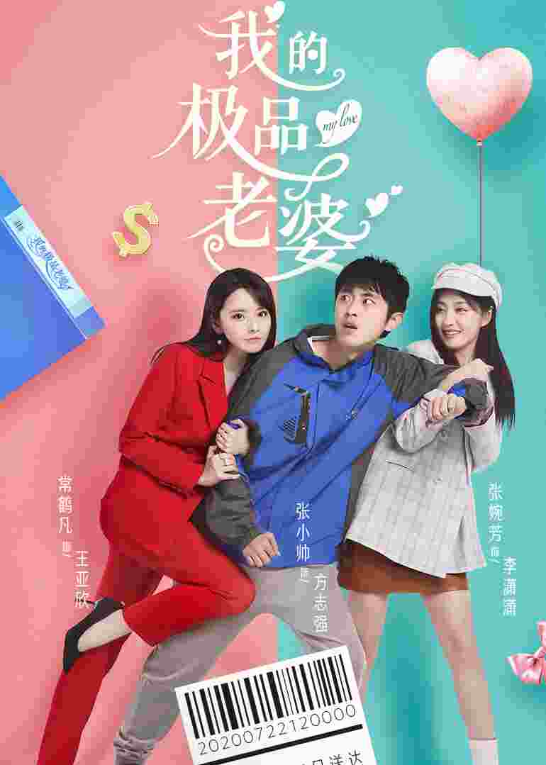 我的极品老婆封面图