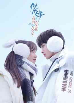 侬好，我的东北女友封面图