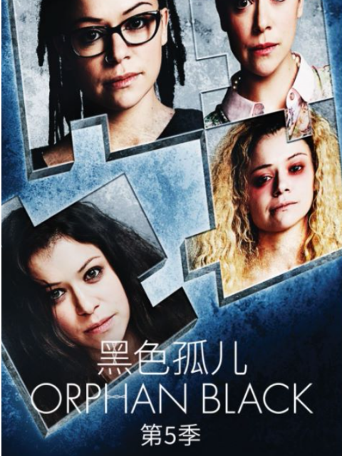 黑色孤儿第五季封面图