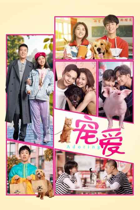宠爱封面图