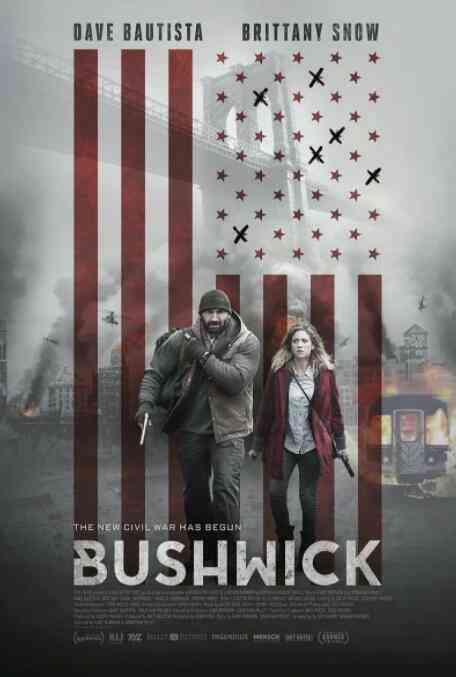 布希维克封面图