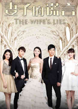 妻子的谎言DVD版封面图
