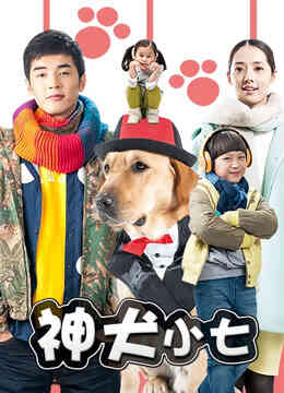 神犬小七封面图