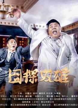 囧探双雄封面图