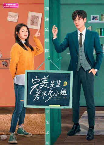 完美先生和差不多小姐 印尼语字幕版封面图