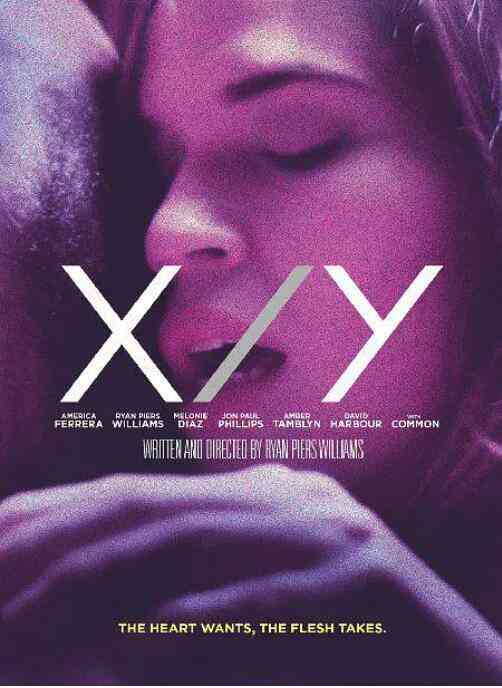 迷情纽约封面图