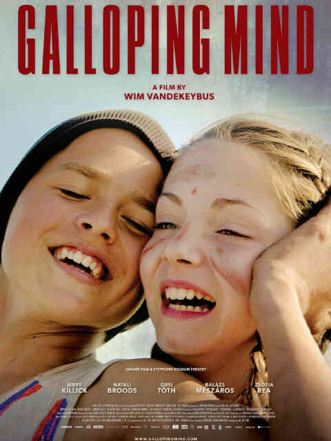 舞动的心封面图