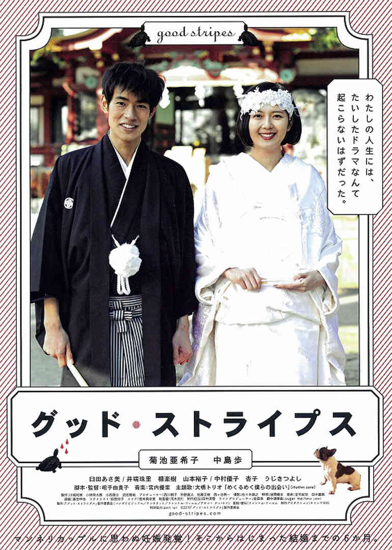 美好条纹封面图