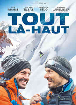 向着巅峰封面图