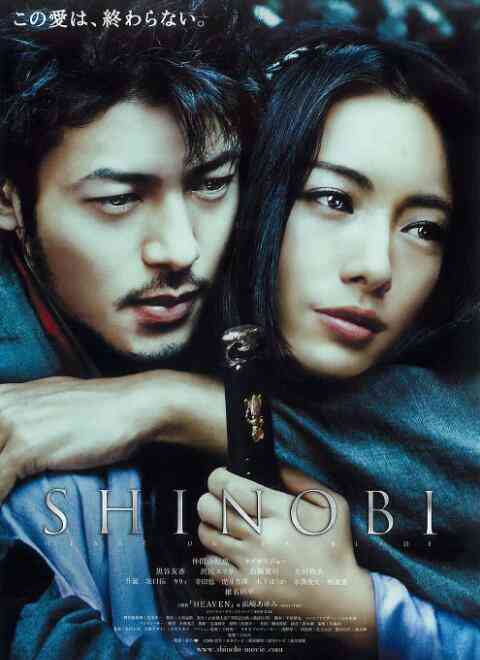 甲贺忍法帖封面图