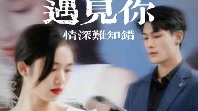 遇见你情深难知错（软萌娇妻总裁大叔太难追）封面图