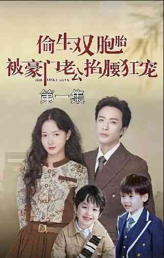 偷生双胞胎被豪门老公掐腰狂宠封面图