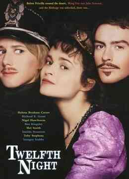 第十二夜封面图