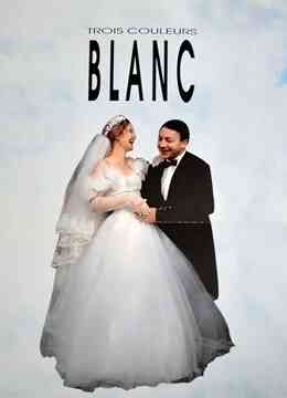 红白蓝之白封面图