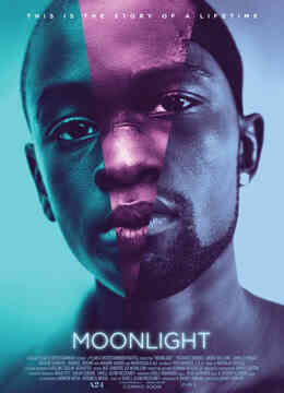 蓝色月光封面图