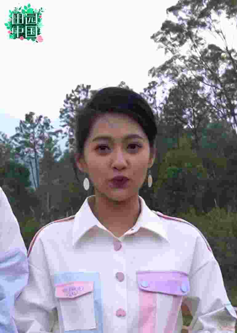 田园中国封面图