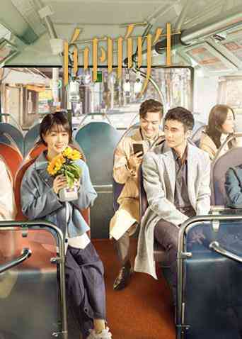 向阳而生封面图