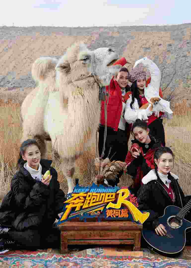 奔跑吧·黄河篇封面图