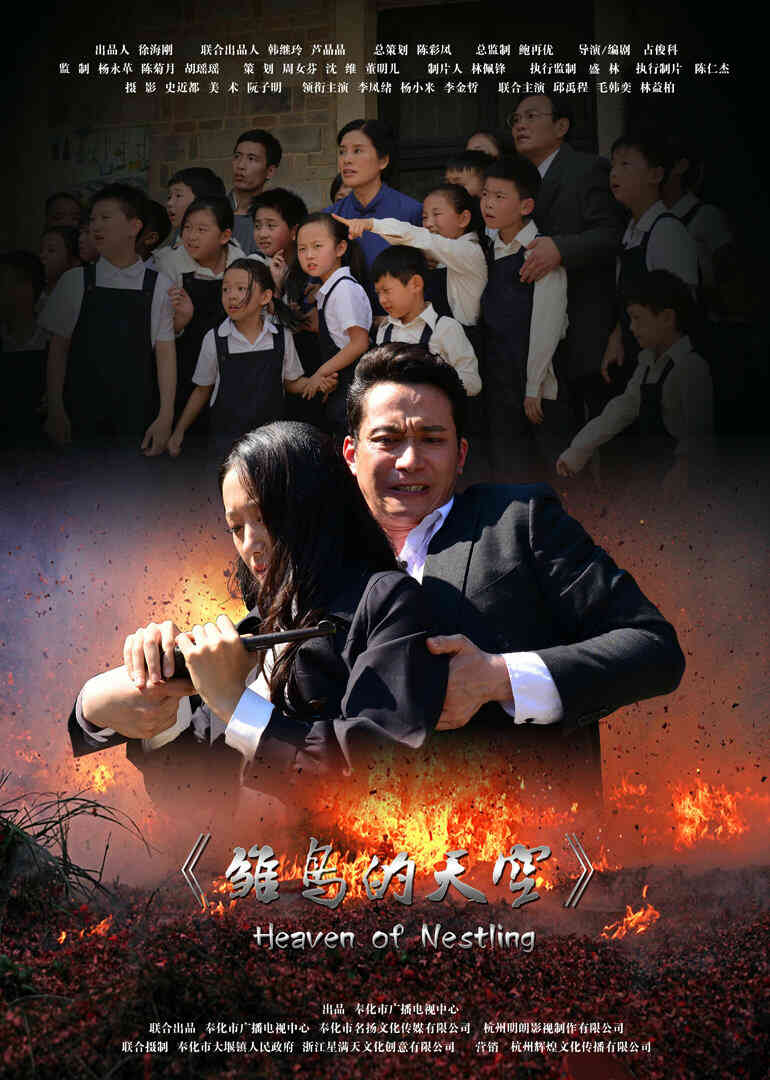 雏鸟的天空封面图