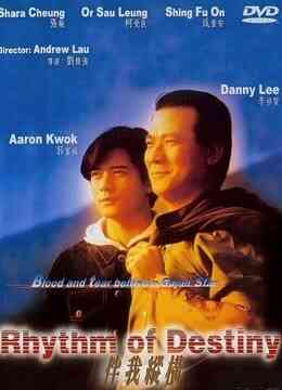 伴我纵横封面图