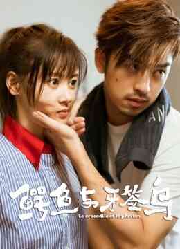 鳄鱼与牙签鸟DVD版封面图