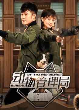 动物管理局封面图