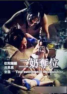 二奶夺位封面图