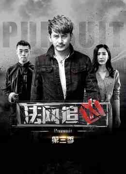 法网追凶第三季封面图