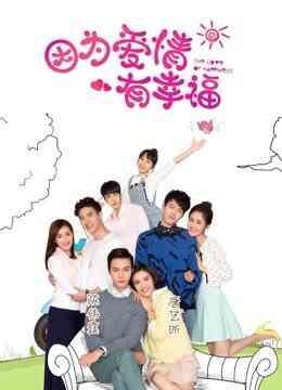 因为爱情有幸福之二DVD版封面图