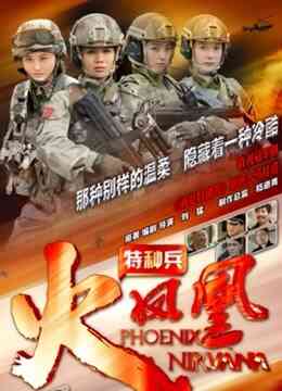 特种兵之火凤凰DVD版封面图
