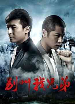 别叫我兄弟封面图