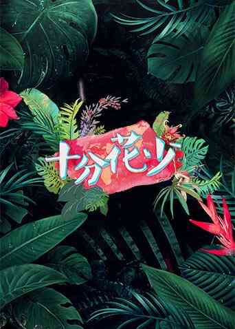 十分花少封面图