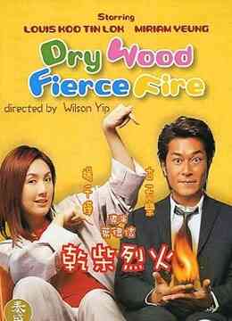 干柴烈火（粤语）封面图