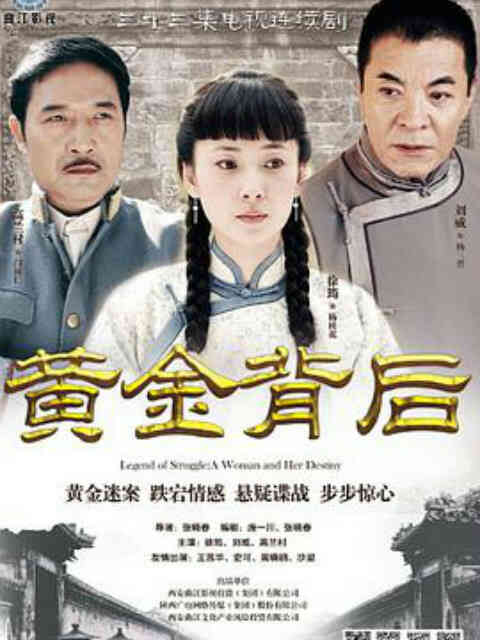 黄金背后封面图