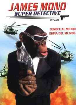 金刚归来封面图