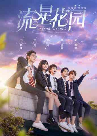 流星花园 DVD版封面图