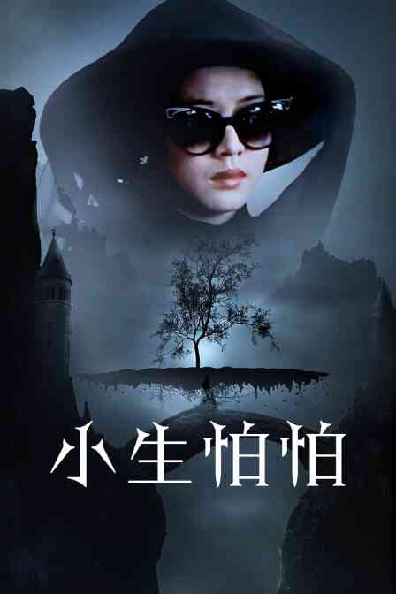 小生怕怕封面图
