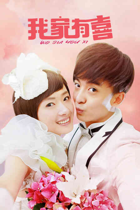 我家有喜 TV版封面图