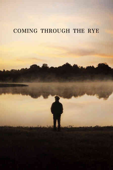 穿越麦田封面图