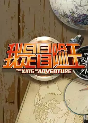 我是冒险王 2011封面图