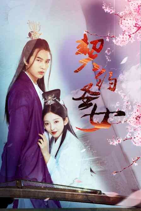 契约圣女封面图