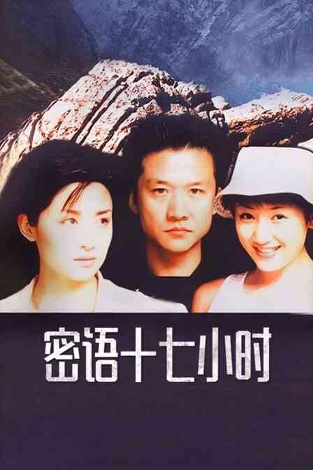 密语十七小时封面图