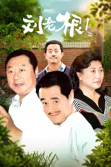 刘老根 第一部封面图