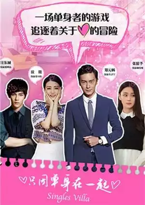 只因单身在一起封面图