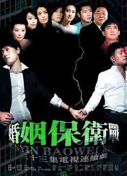 婚姻保卫战封面图