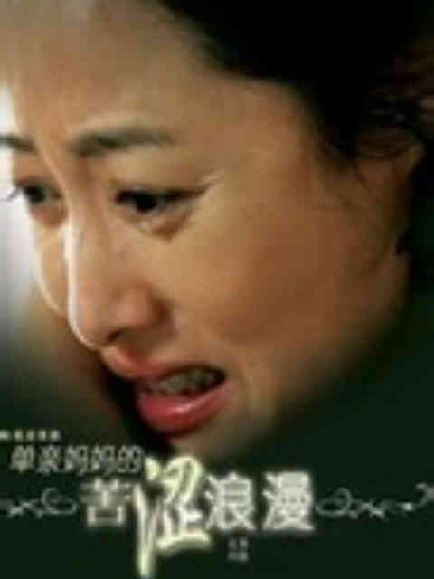 单亲妈妈的苦涩浪漫封面图