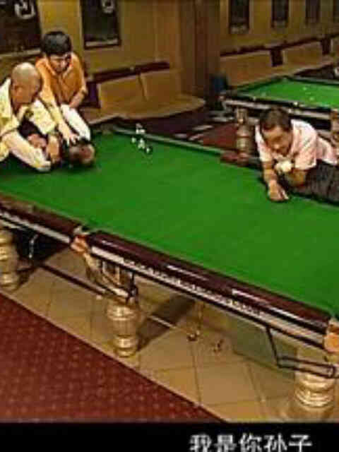 杨光的快乐生活5封面图