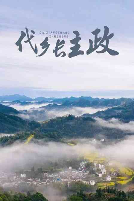 代乡长主政 2011封面图