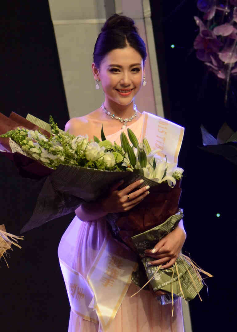 2015TVB国际中华小姐竞选内地赛区封面图